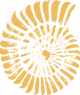 NAUTILE10_edited_edited_edited_edited_edited_edited_edited_edited.png