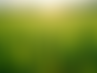 Sustainable Practices for Small Farmers in India