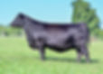 9051 DONOR (3)_C.jpg