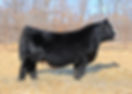 Anthem_F_6910.jpg