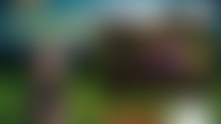 U11'S BLACK Match Day report.