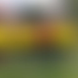 U13’s Match report