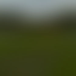 See Ryan Swift's goal vs Cambridge City