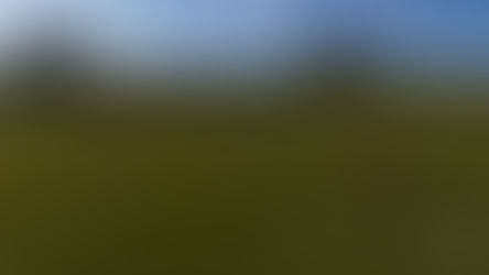 Callum Anderson came soooo close