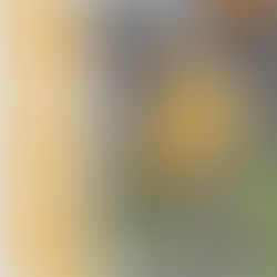 🟡⚫️ IT’S MATCHDAY ⚫️🟡