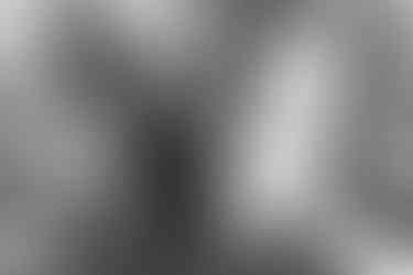 utah wedding elopement photographer, utah wedding, utah elopement, utah elopement officiant, utah mountain top wedding, utah forest wedding