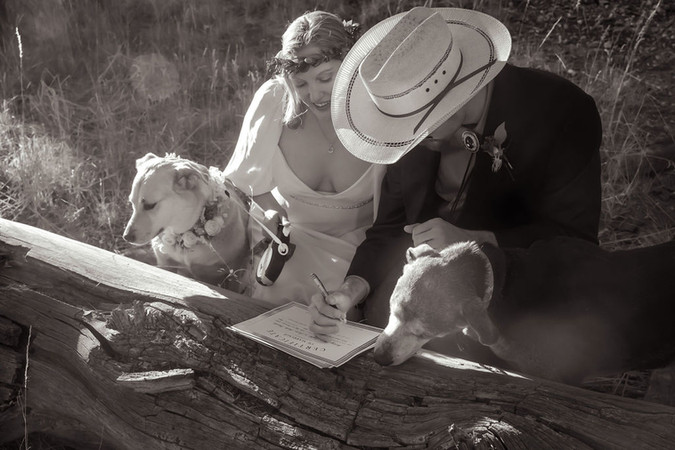 dog signing marriage license, can dogs sign your marriage license, dogs at wedding