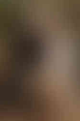 utah elopement cake, cutting the cake, forest wedding cake cutting, rustic wedding cake, mountain inspired wedding, utah country elopement