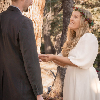 utah wedding elopement photographer, utah wedding, utah elopement, utah elopement officiant, utah mountain top wedding, utah forest wedding
