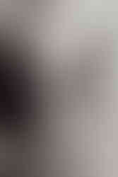 Hand fasting wedding ceremony, dog at wedding, elopement with dog, utah elopement officant, utah elopement photographer