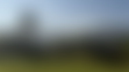 Landschaft Bali, Reisfelder, Palmen und Vulkangebirge im Hintergrund