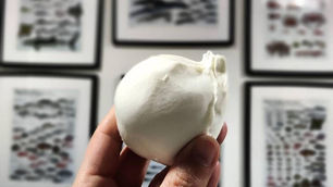 Burrata Lover's