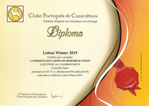 LISBOA WINNER 19 CATH.jpeg