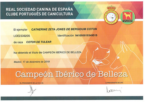 CH. IBERICO CATH.jpeg