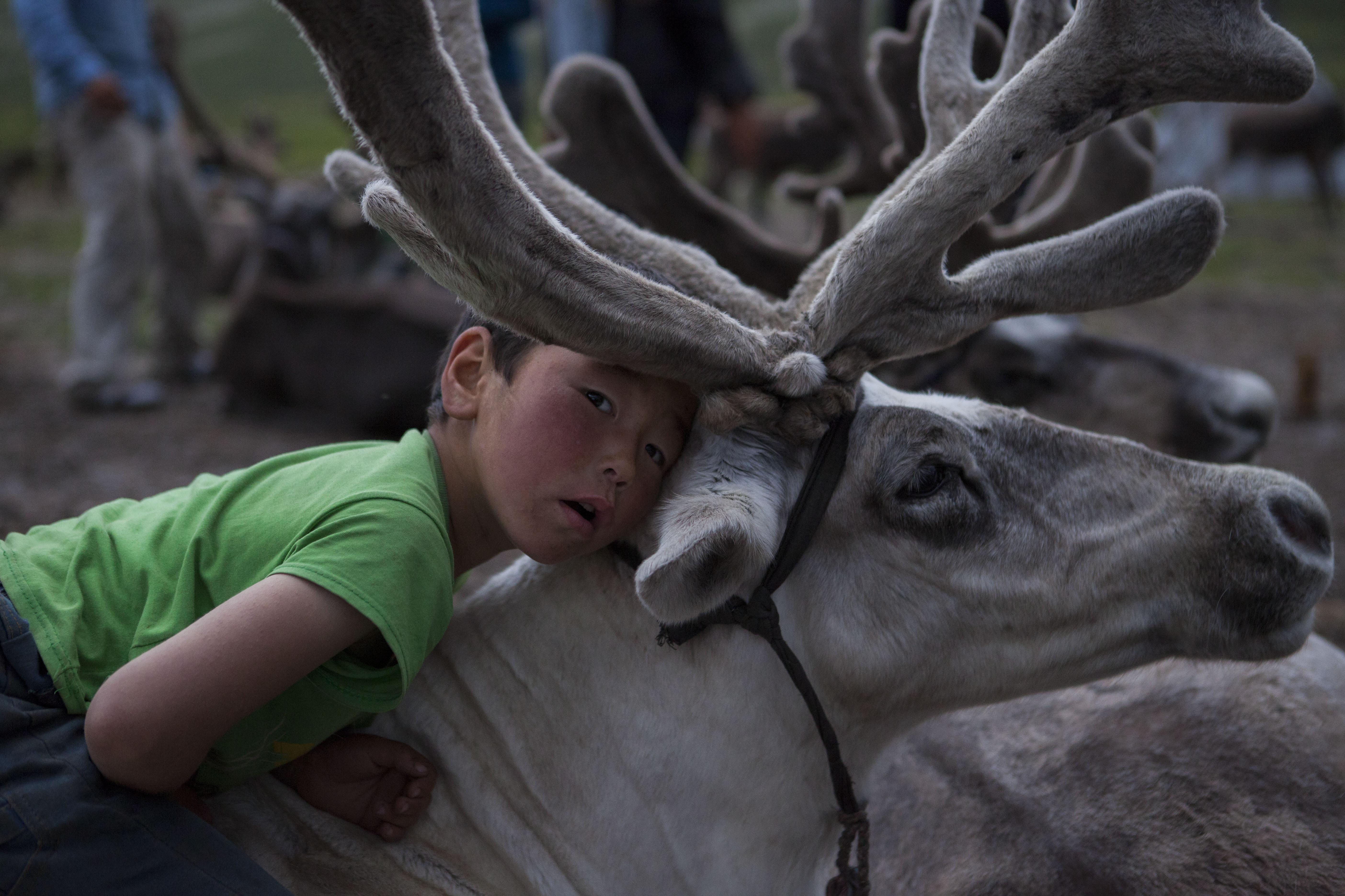 childrens of mongolia 4