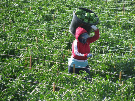 Harnessing AI for Social Good in Developing Countries