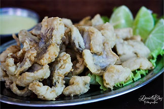 O Farejador, O Farejador Cardápios, Cruzeiro, Kung Peixe