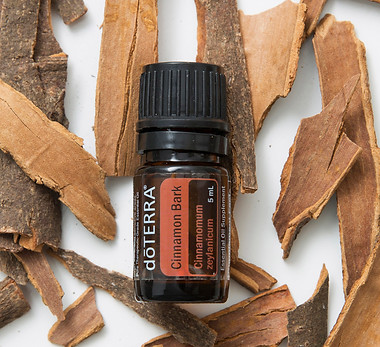 Cinnamon Bark_0A3A1607.jpg