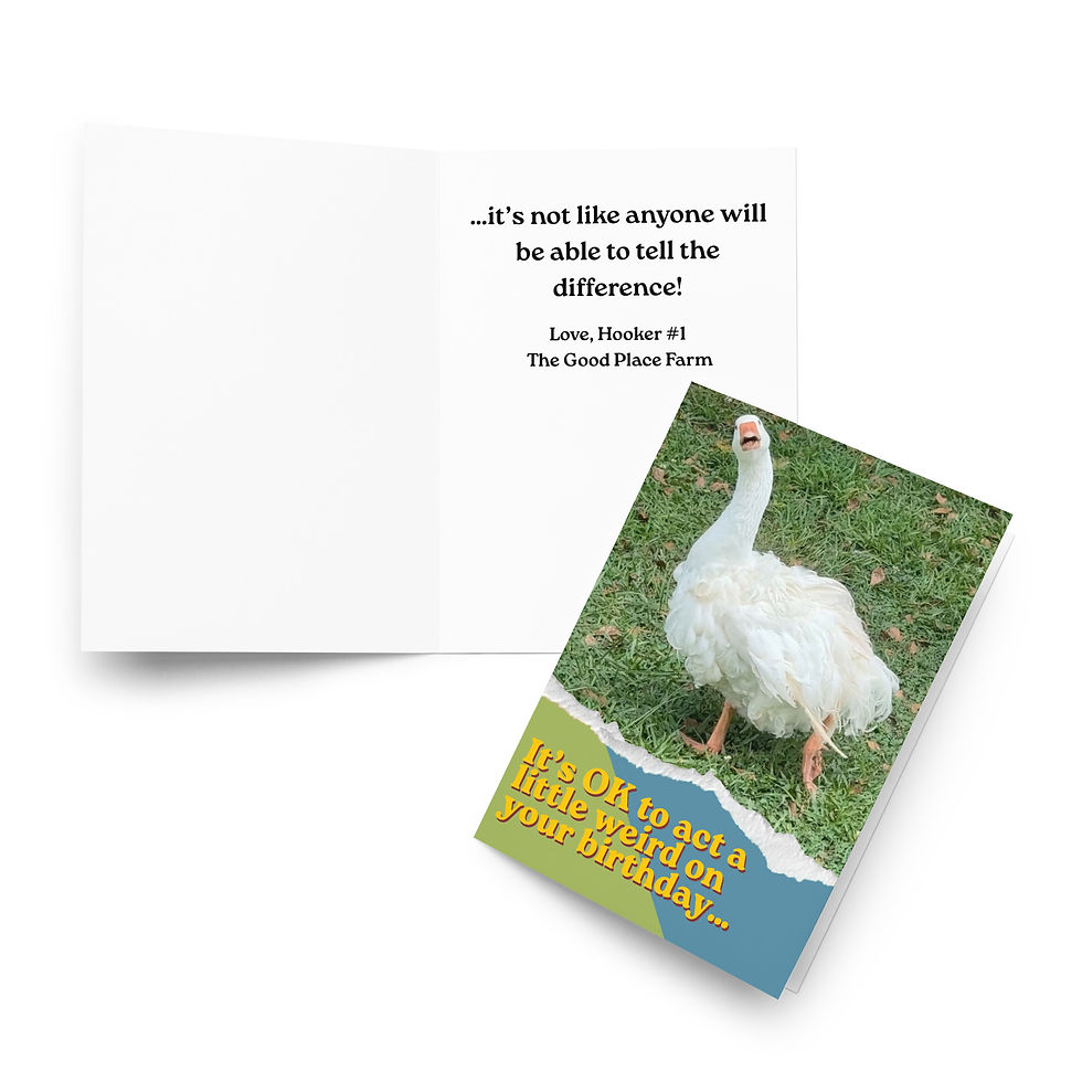Thumbnail: Funny Goose Birthday Card | It’s OK to Act a Little Weird | Adult