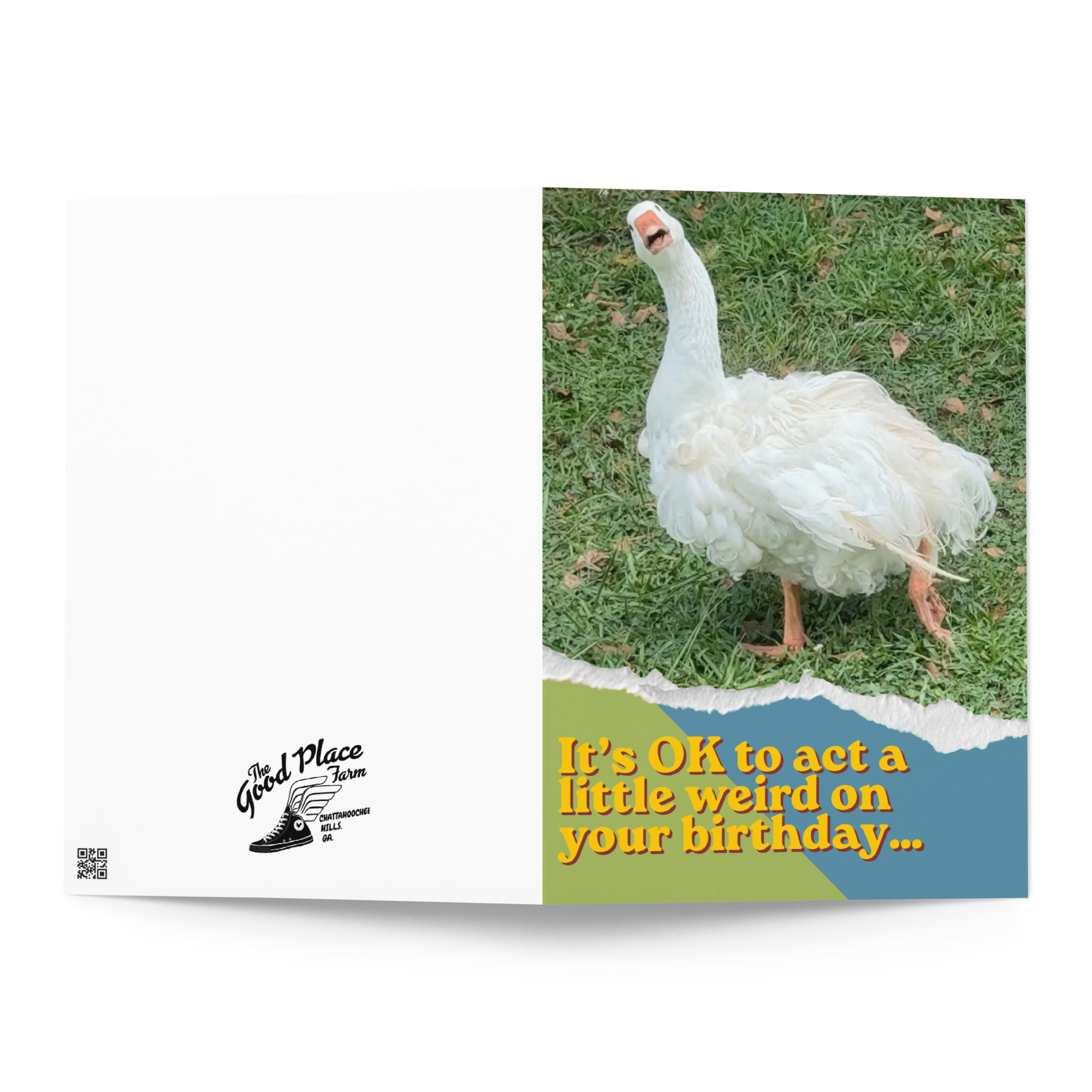 Funny Goose Birthday Card | It’s OK to Act a Little Weird | Adult