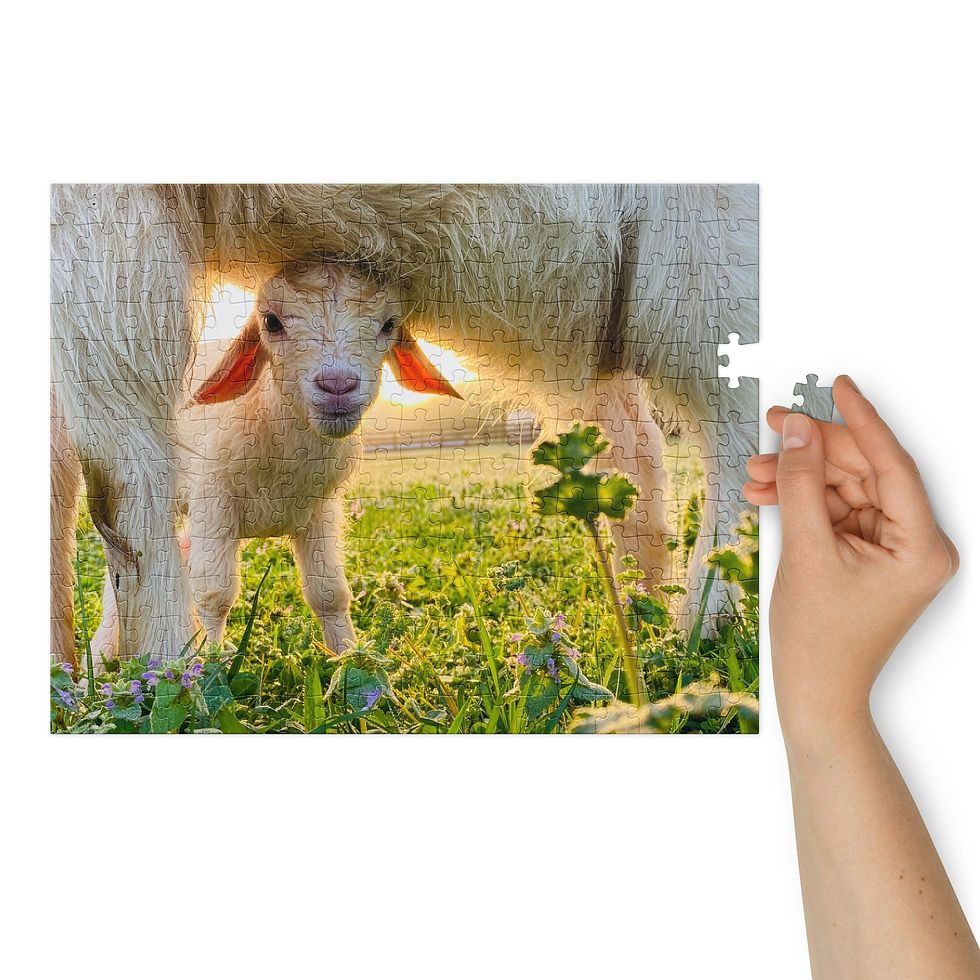 Thumbnail: Under Mama’s Wing Jigsaw puzzle with tin
