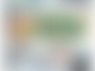 FRUITAS BARES NEW NORMAL