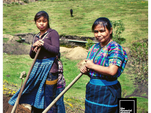 FROM THE FIELD: THE UN’S MISSION TO TRANSFORM AGRICULTURE, FOR PEOPLE AND PLANET