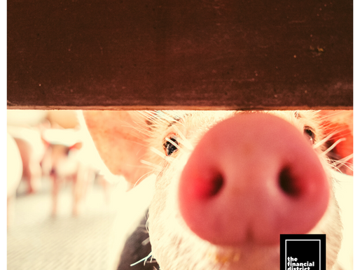 AFTER COVID-19, CHINA’S PIGS NOW HARBOR SWINE FLU PANDEMIC VIRUS