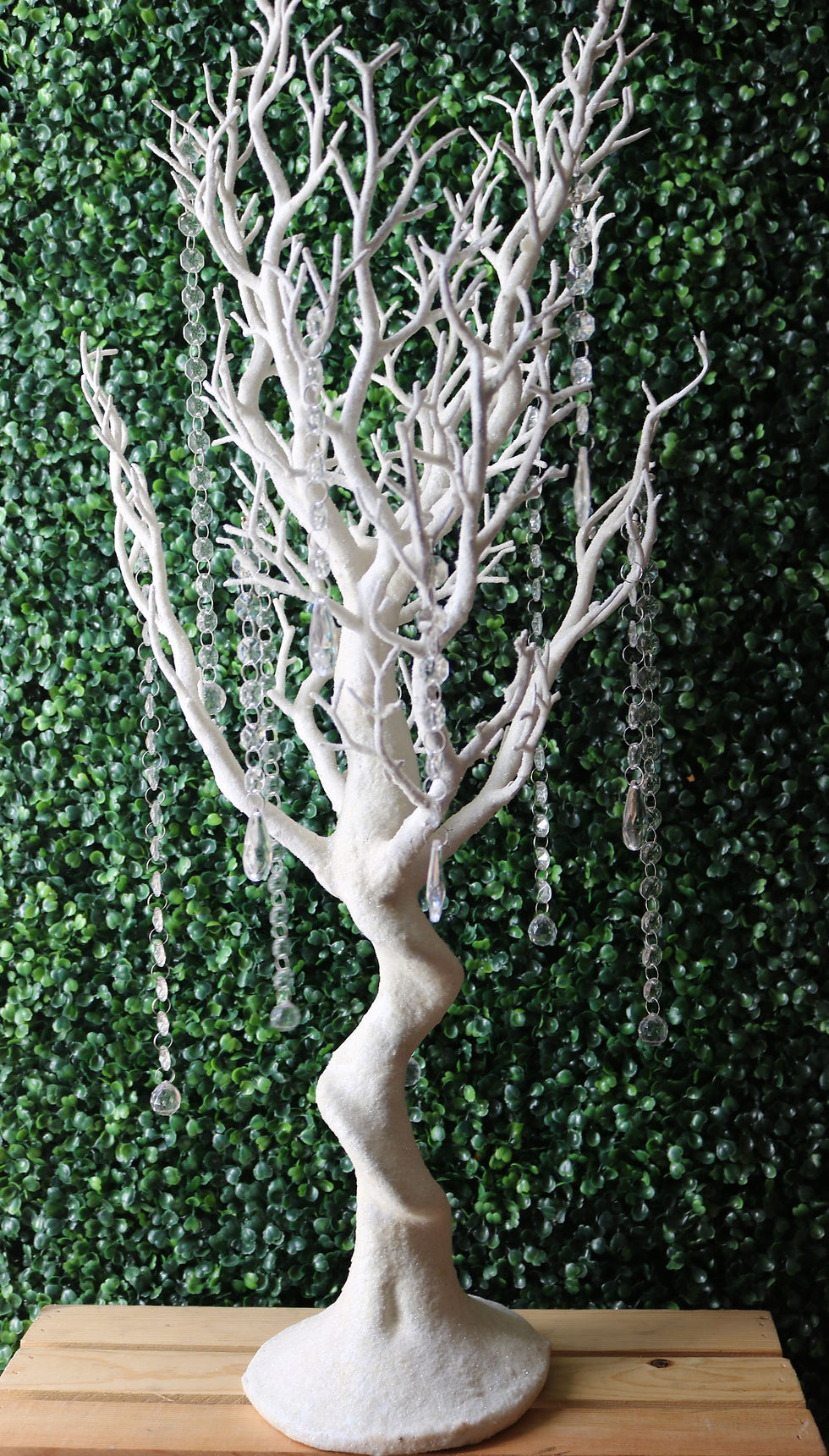 Thumbnail: White Trees (including pearl droplets)