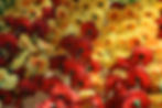 Thumbnail: Floral Bar - Red & yellow (floral dupatta)