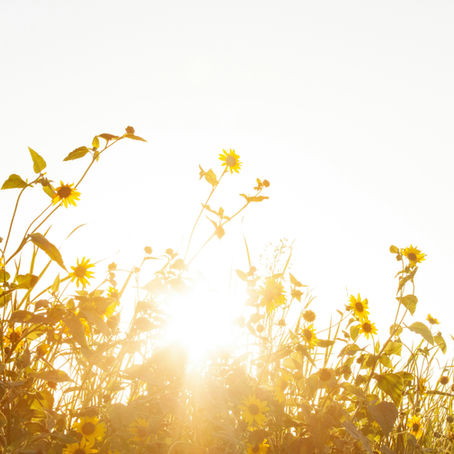 Discovering Love as a State of Being, Not an Obligation