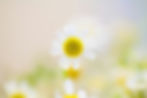 Photo by Maria on Unsplash