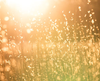 sun.jpeg