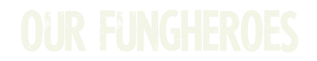 fungheroes.png
