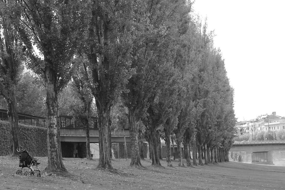 Lleida #3