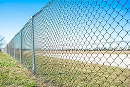 شبوك الباحة