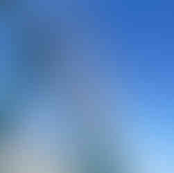 مقاول شبوك حكومية