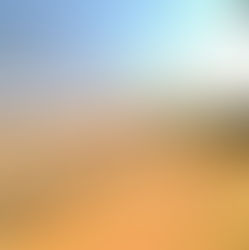 مقاول اسوار