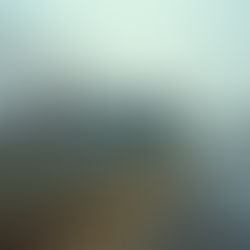 صورة مقاول شبوك