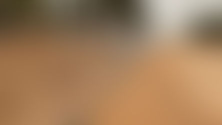 مقاول شبوك|مقاول فنس سياجات|شبوك الرياض