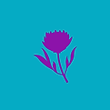 Icon only.png
