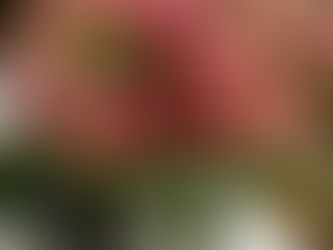 Flowers you received on giving birth