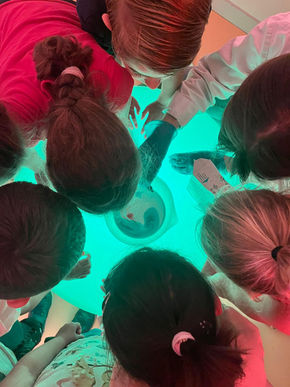 Visite d'un savant fou au Dorlett