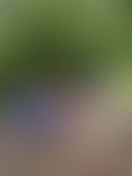 Cache-cache et bataille d'eau!!!