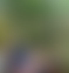 2016/2017 du Dorlett: voyage parmi les animaux