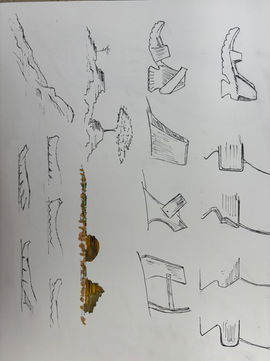 IMG_3898 (2)