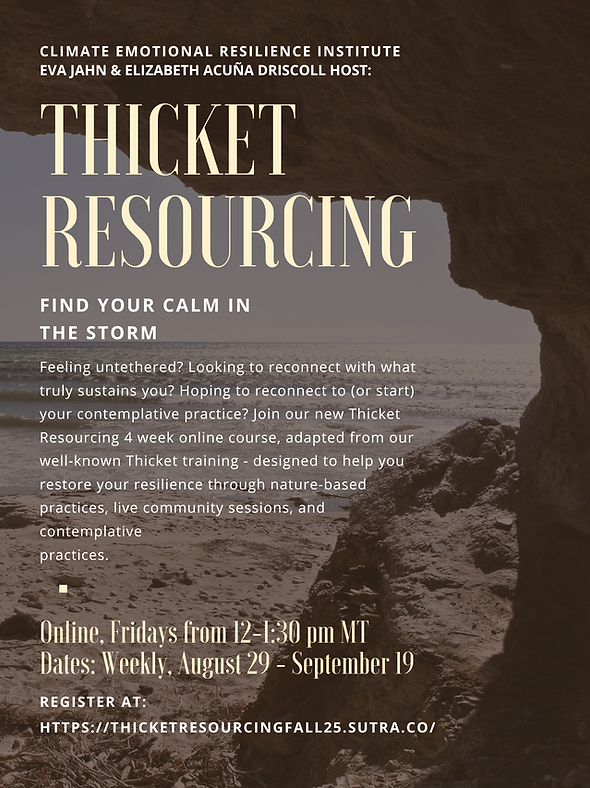 Thicket Resourcing.png