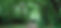 park_edited.jpg