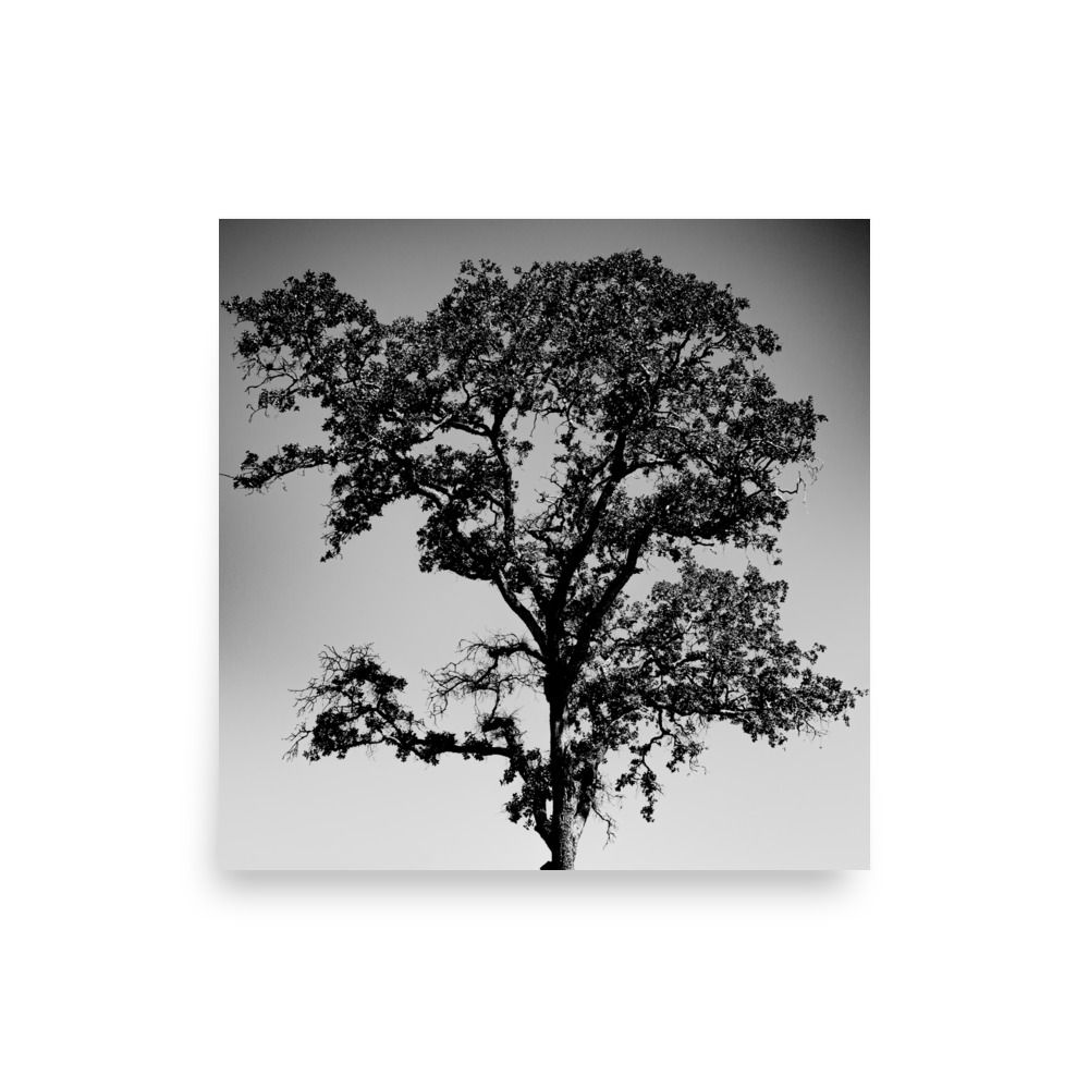 Lonely Tree, Wall Art