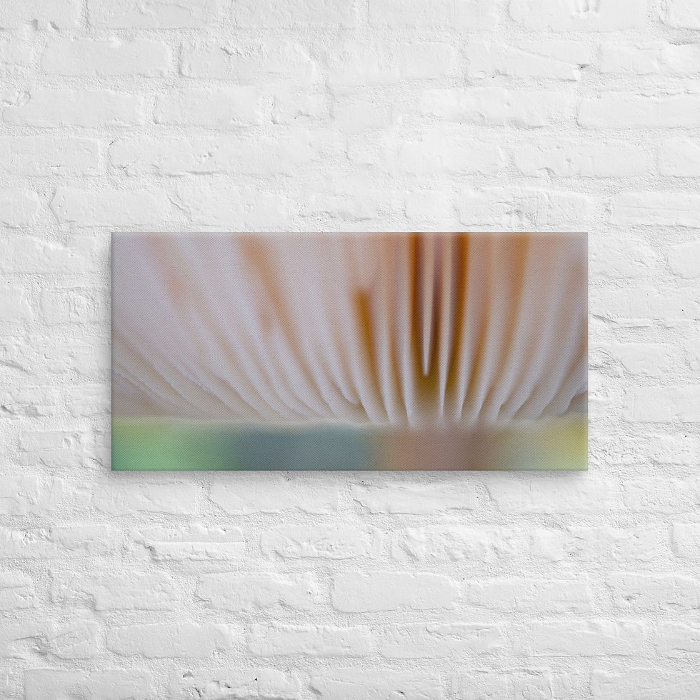 Thumbnail: Cloud 9, Canvas Wall Art